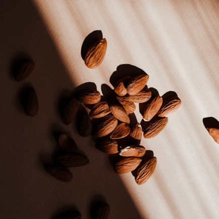 探索高蛋白飲品的科學價值與健康啟示