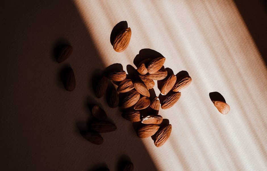 探索高蛋白飲品的科學價值與健康啟示