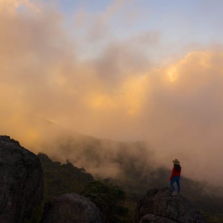 旅行者的最佳夥伴:多樣化的旅行袋選擇