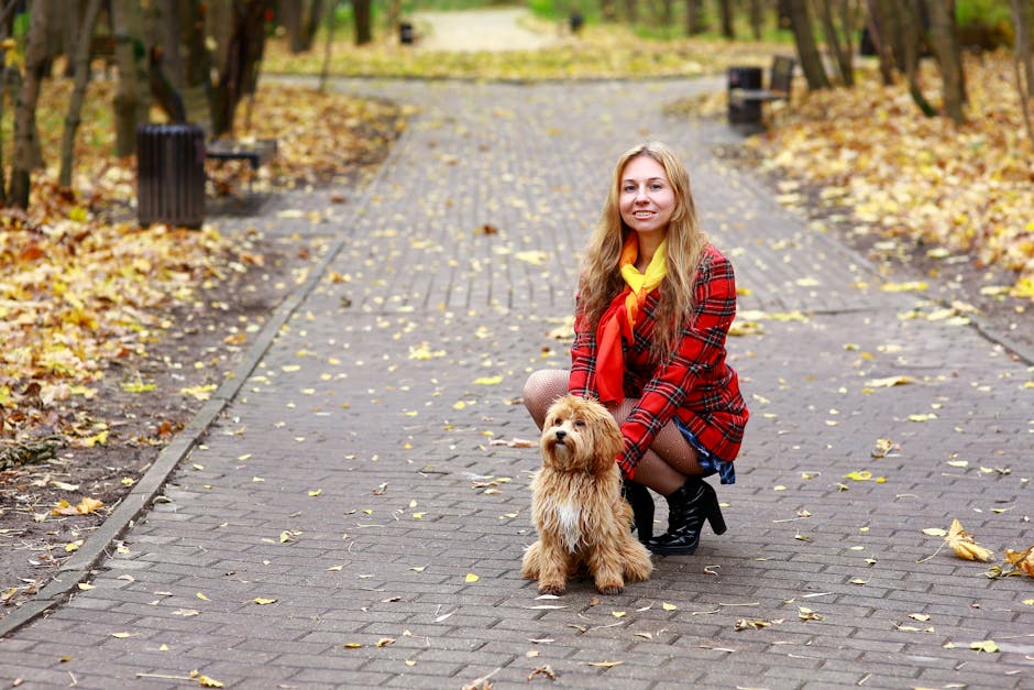 寵物善終流程完整指南