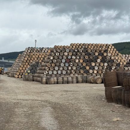 迷你倉:掌握空間的終極技術神器